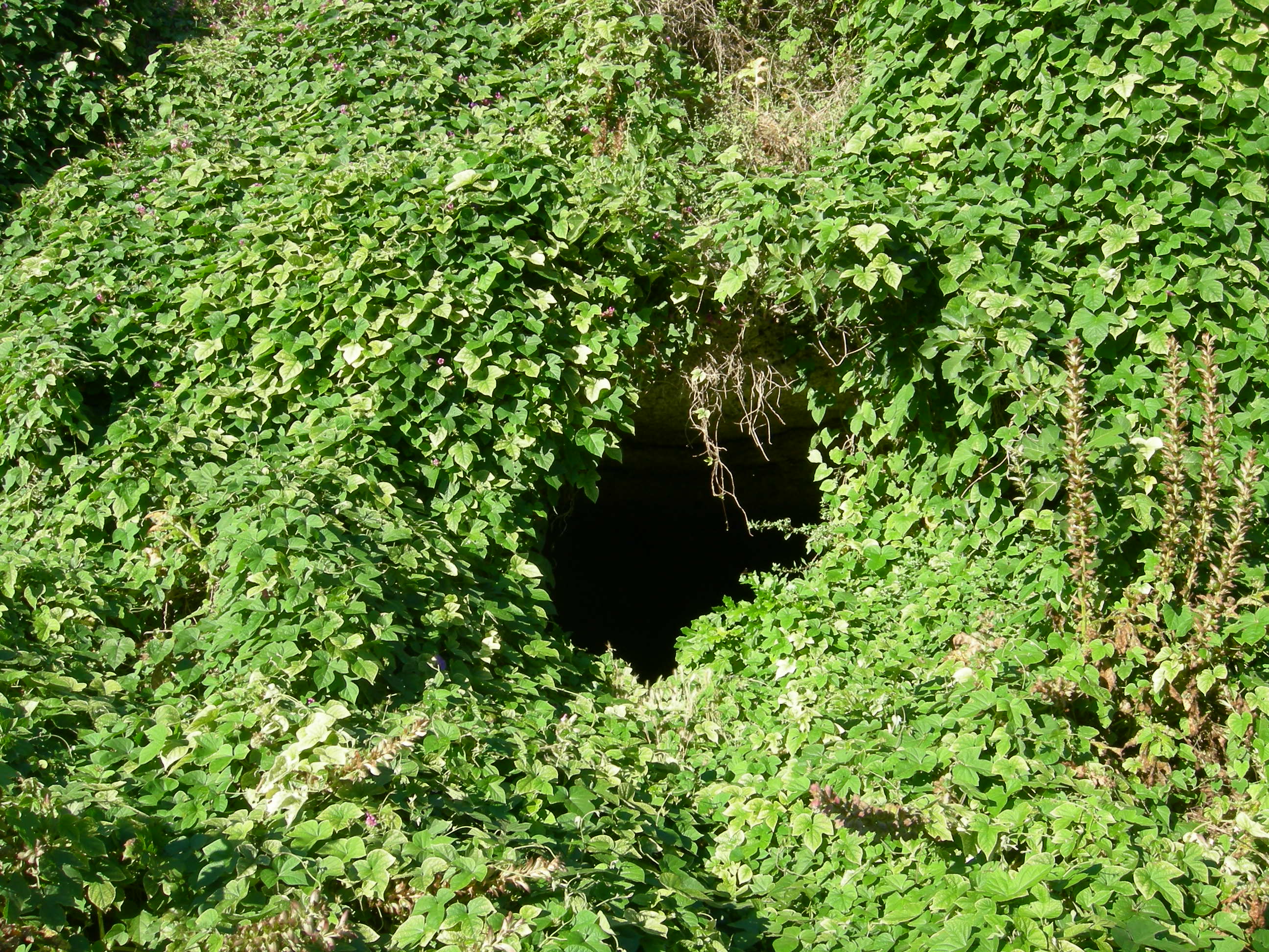 Grotta di San Pantaleone