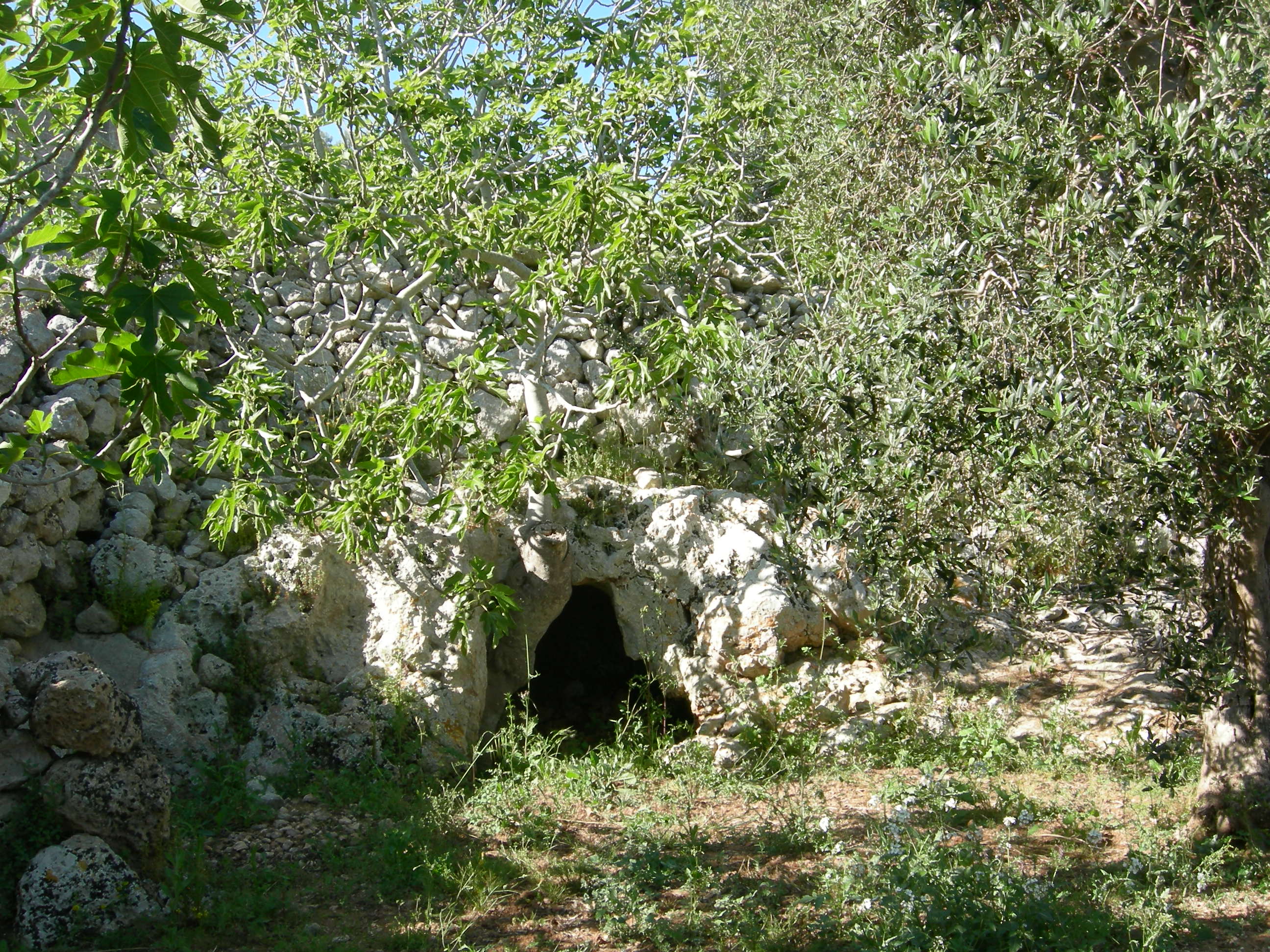 Cripta - Grotta di San Pietro